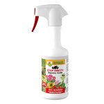 sapone molle