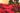 stella_di_natale