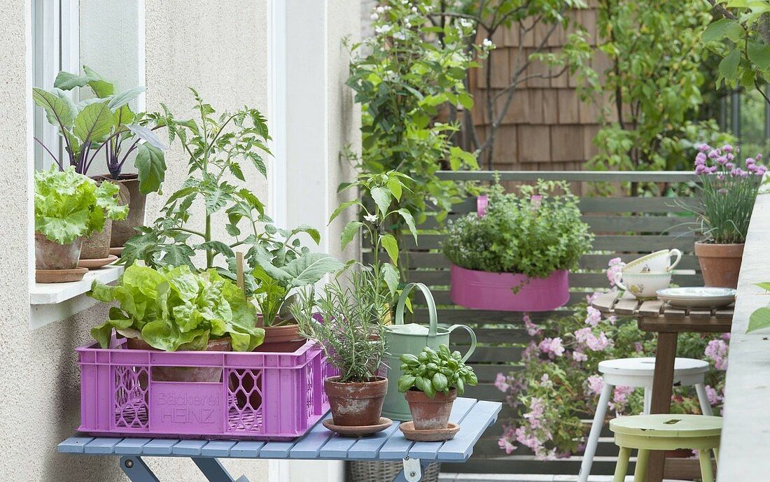 Orto sul balcone fai da te: i nostri consigli! - Donnaflora Garden