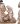 AAA901010_COMPOSITION_001_18-02-20_