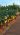 41c33a9c-de5e-4b2c-9f0c-62c8c231c046
